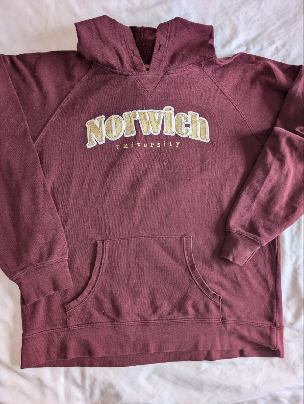 Norwich University Hoodie pockets Champion - Picture 5 of 7